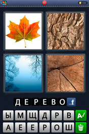 Дерево