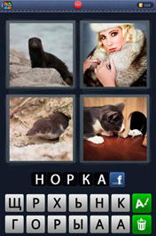 Норка