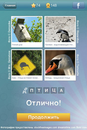Птица