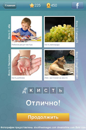 Кисть Кисть