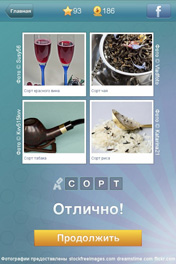 Спорт