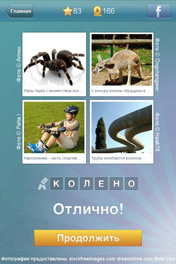 Колено