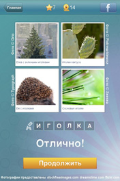 Иголка