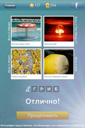 Гриб Гриб