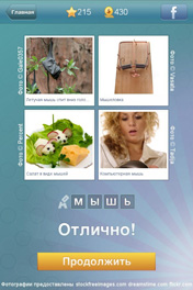 Мышь