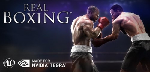 Real Boxing